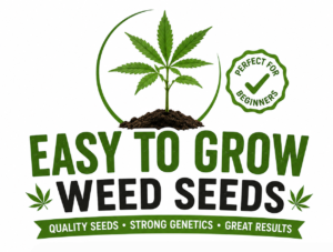 easy to grow weed seeds australia