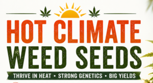 hot climate weed seeds