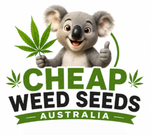 cheap weed seeds australia