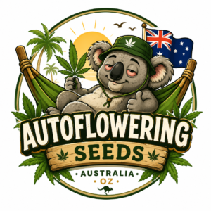 autoflowering weed seeds australia