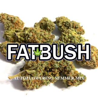 Super Summer Auto Mix 7 seeds