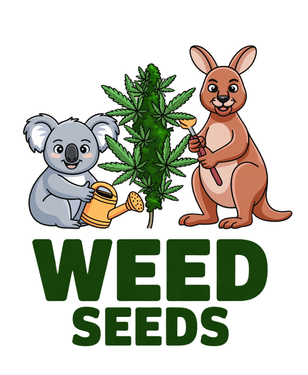 WEED SEEDS AUSTRALIA