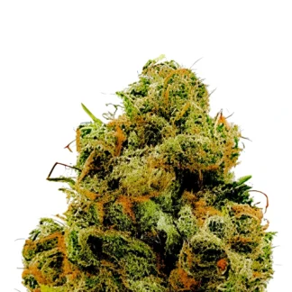 Miracle Alien Cookies