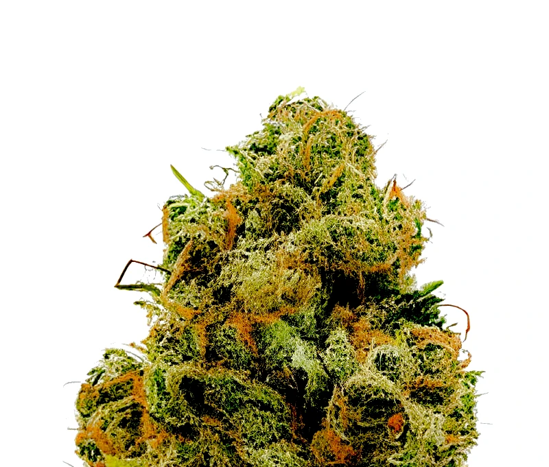 Miracle Alien Cookies