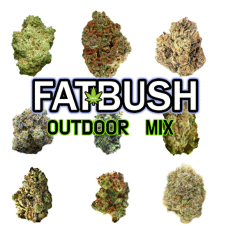 Outdoor Feminized Mix 20 Seeds