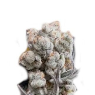 Alien OG