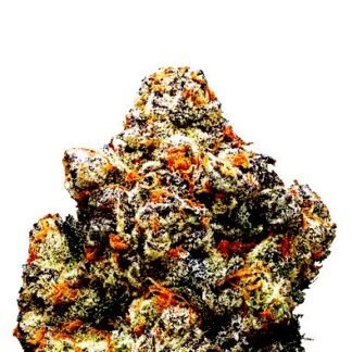 Cookies Auto