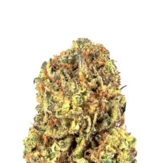 NYC Diesel