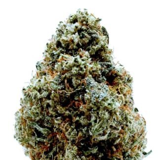 Gorilla Glue