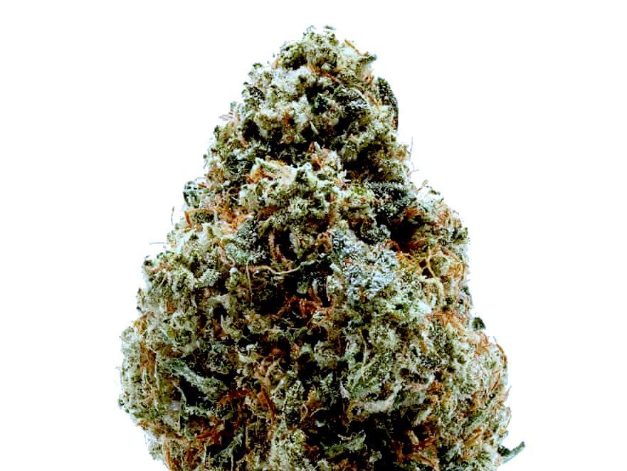 Gorilla Glue