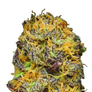 SoMango Auto