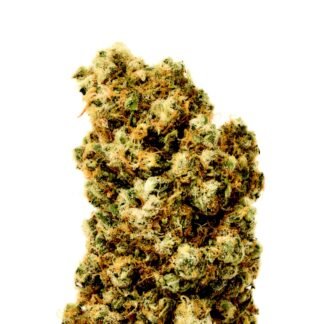 Super Silver Haze